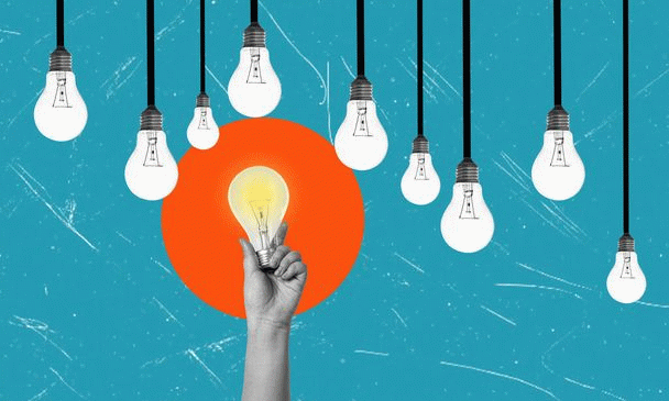 19 نکته کلیدی در تربیت سگ پیت بول: راهنمای جامع و اصولی